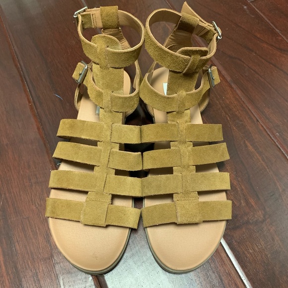 Steve Madden Shoes - Steve Madden Diego Gladiator Sandals